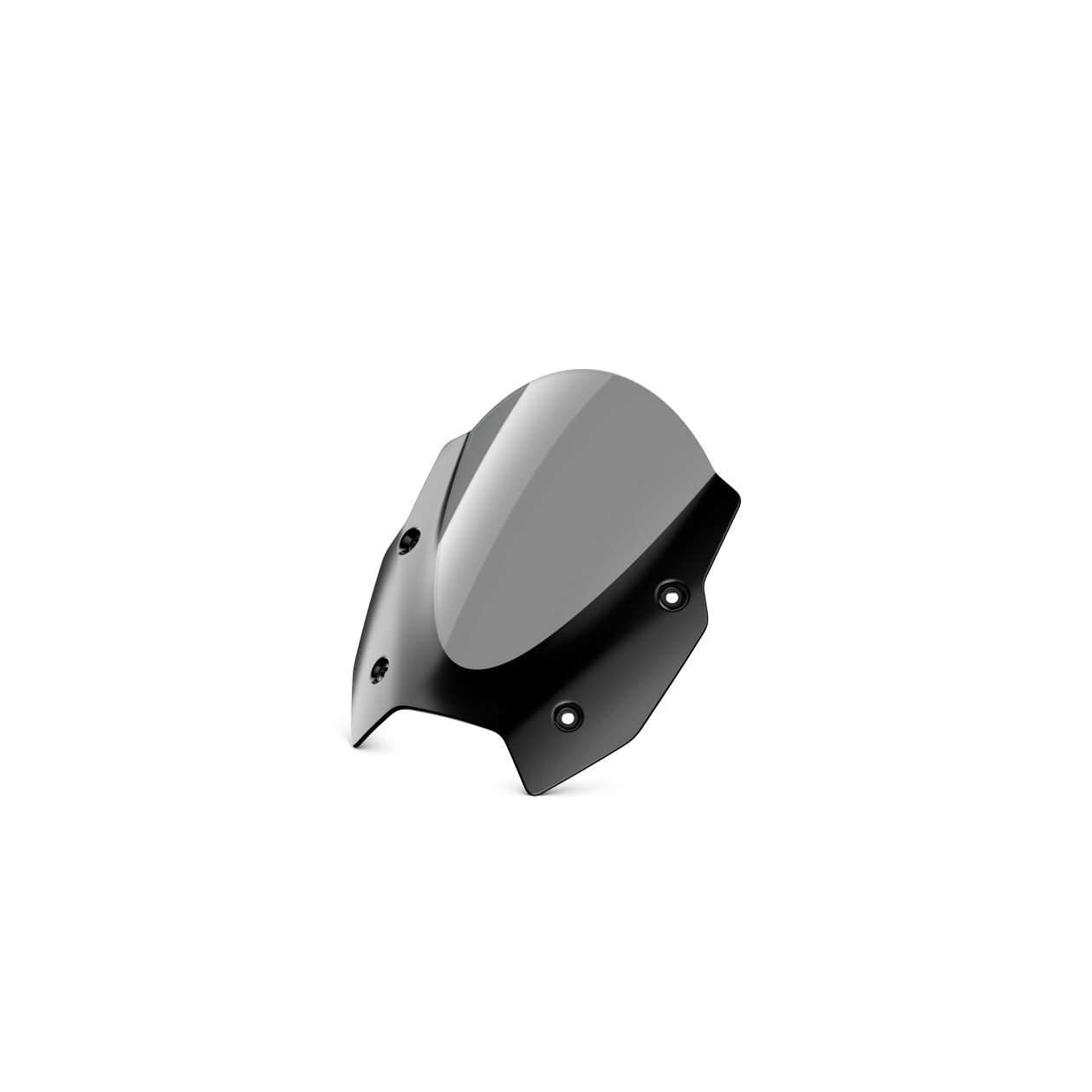 BMW Motorrad R1300 RS Tinted Windscreen