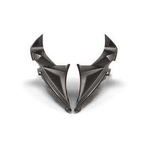 BMW Motorrad M Carbon Top Fairing Side Covers